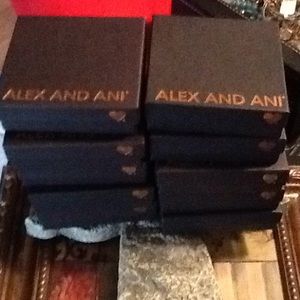 alex an ani boxes